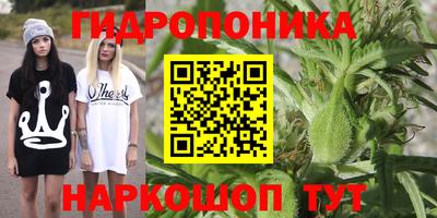 стаф Волжск