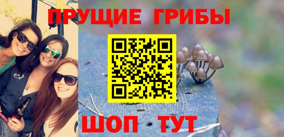 Галлюциногенные грибы мухоморы Белогорск